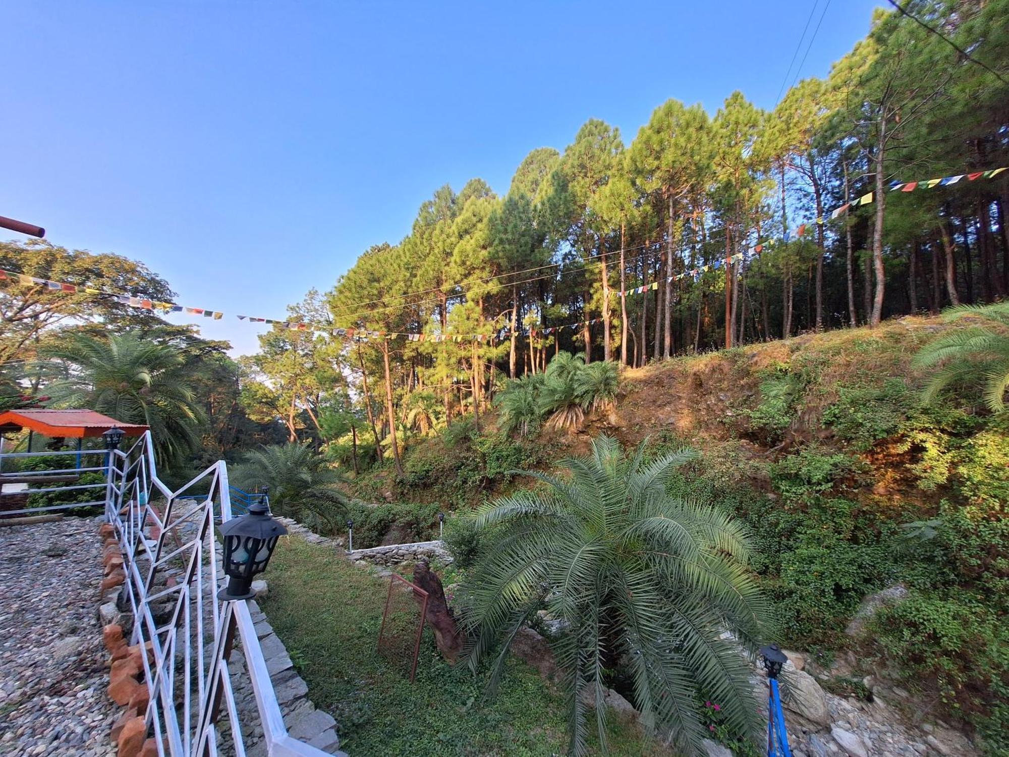 Tathastu Bir -Homestay ,Dorm,Hostel Экстерьер фото