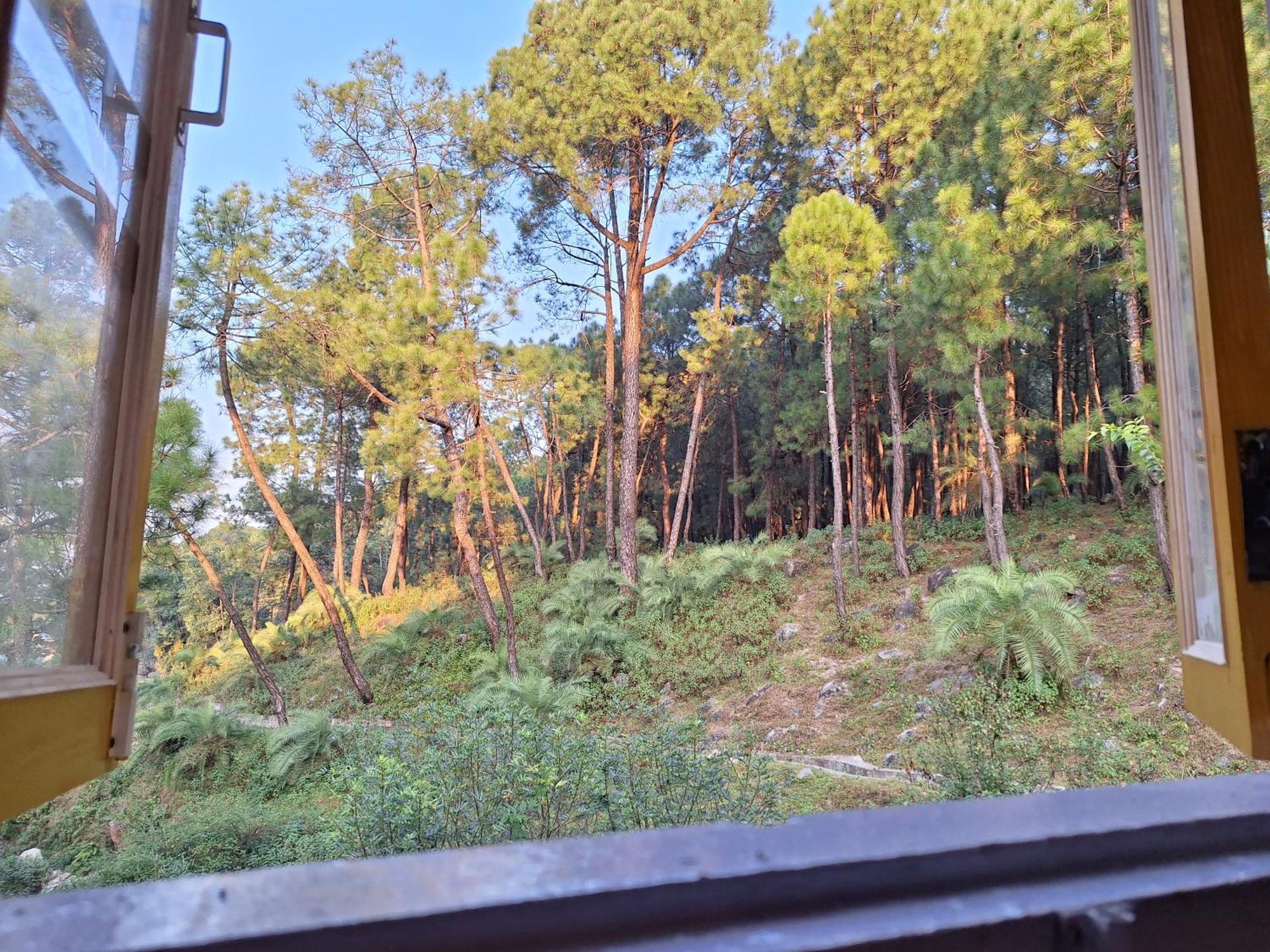 Tathastu Bir -Homestay ,Dorm,Hostel Экстерьер фото