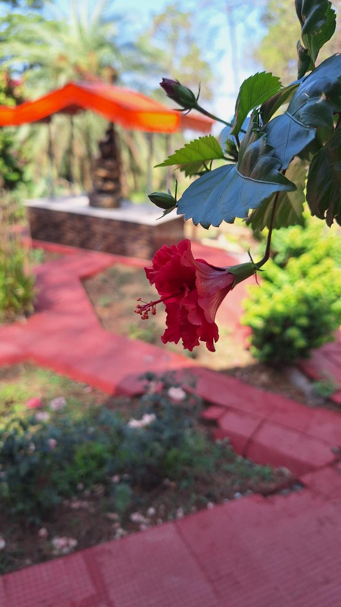 Tathastu Bir -Homestay ,Dorm,Hostel Экстерьер фото