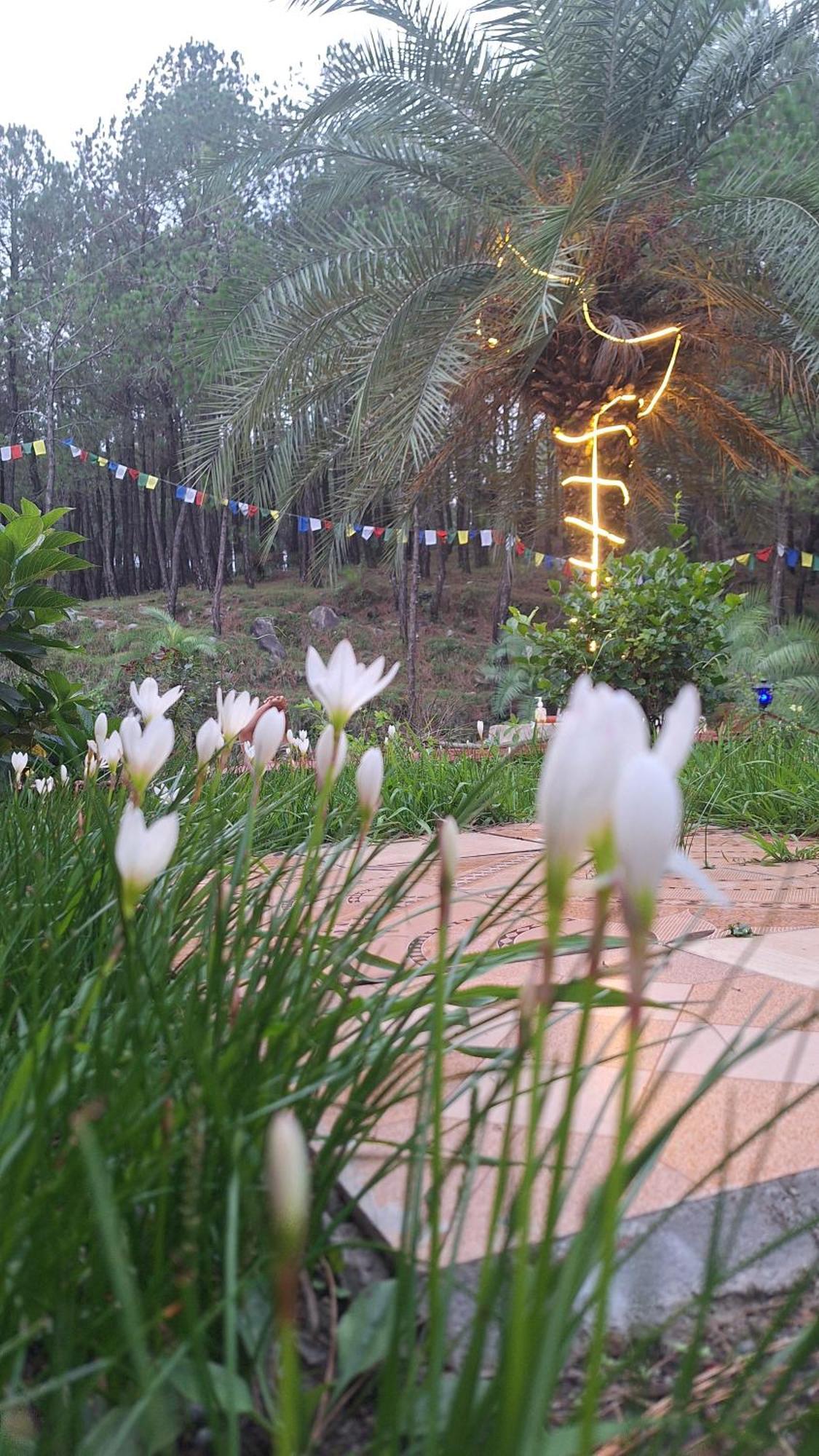 Tathastu Bir -Homestay ,Dorm,Hostel Экстерьер фото