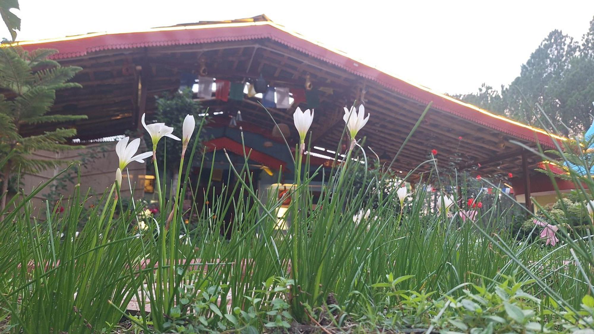 Tathastu Bir -Homestay ,Dorm,Hostel Экстерьер фото