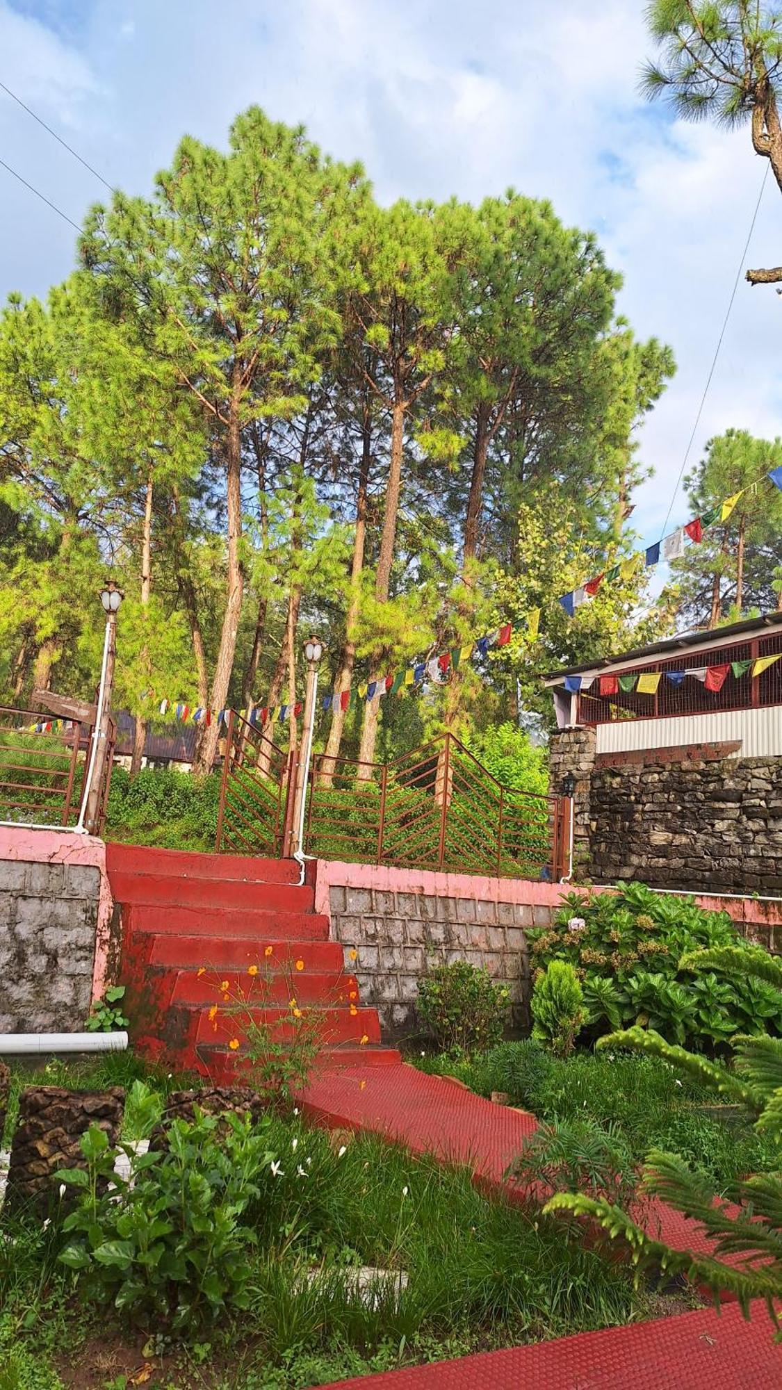 Tathastu Bir -Homestay ,Dorm,Hostel Экстерьер фото